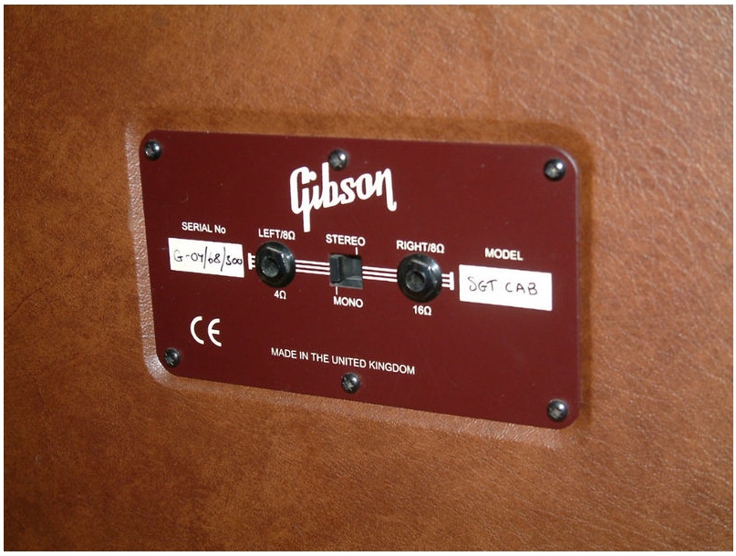 Gibson Super Goldtone Switch
